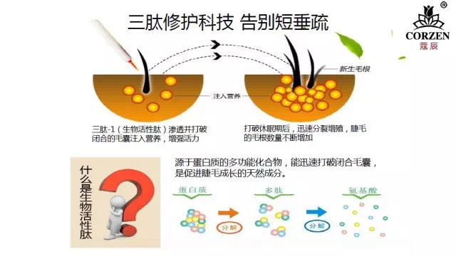 蔻辰珍環(huán)睫毛膏